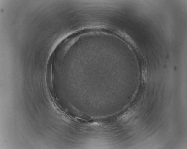 X0000058780724200510031019