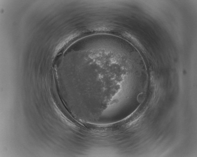 X0000058780725200510031019