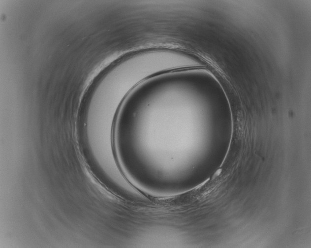 X0000058780726200510031019