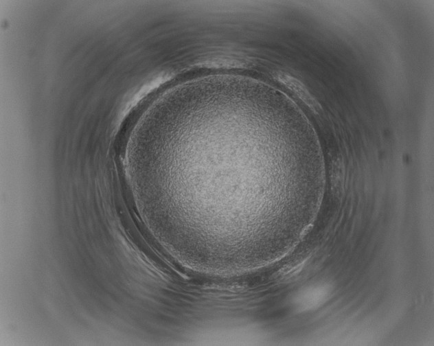 X0000058780727200510031019