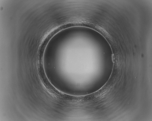 X0000058780728200510031019