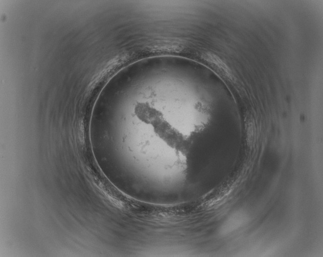 X0000058780729200510031019