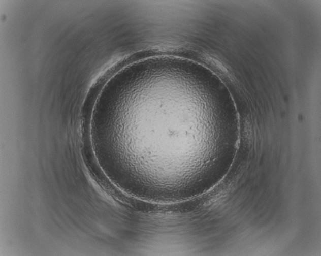 X0000058780730200510031019