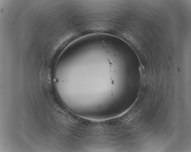 X0000058780731200510031019