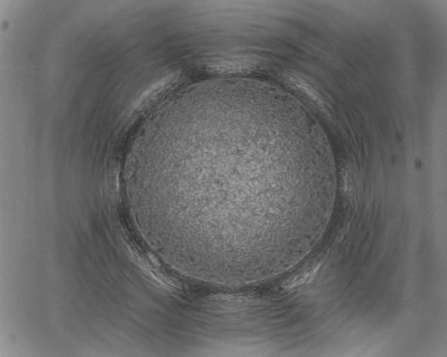 X0000058780733200510031019