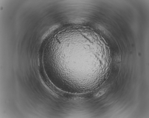 X0000058780734200510031019