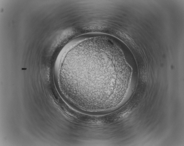 X0000058780735200510031019