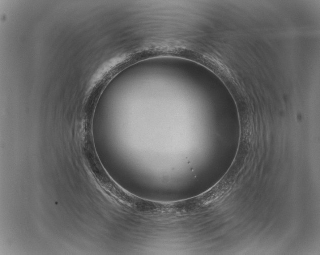 X0000058780736200510031019