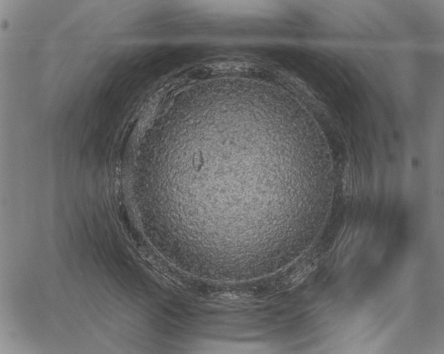 X0000058780737200510031019