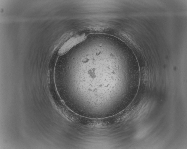 X0000058780738200510031019