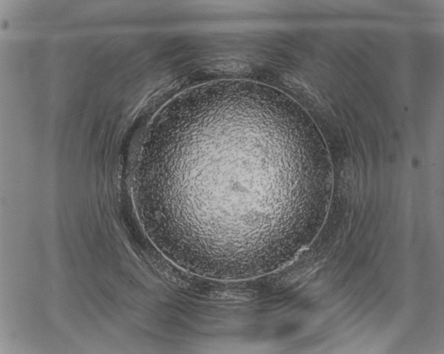 X0000058780739200510031019