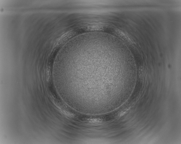 X0000058780741200510031019