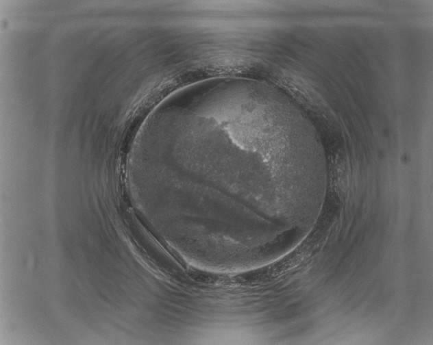 X0000058780742200510031019