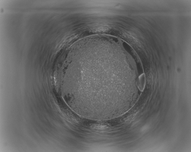 X0000058780743200510031019