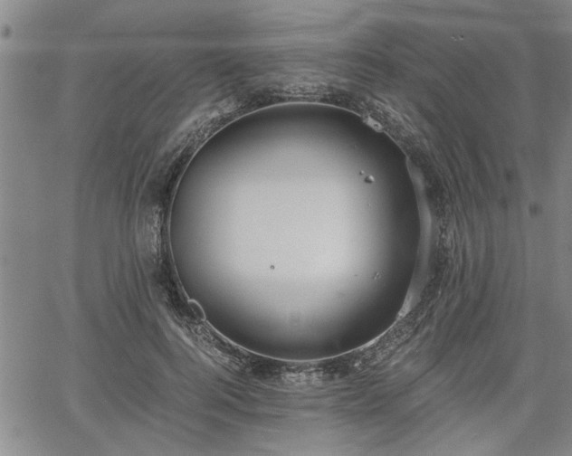 X0000058780744200510031019