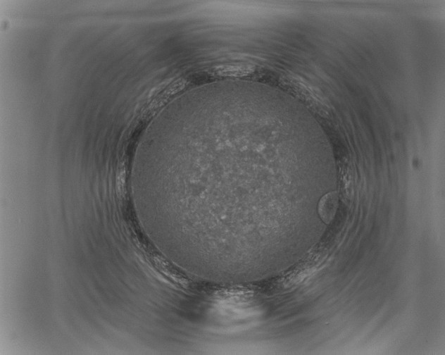 X0000058780745200510031019