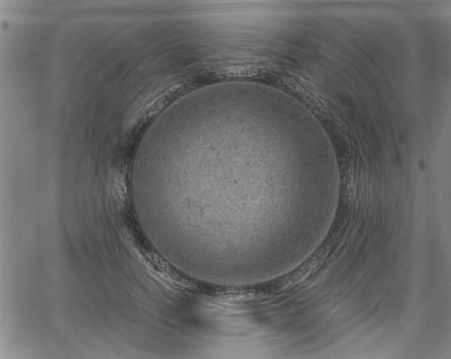 X0000058780746200510031019