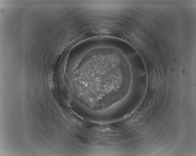 X0000058780747200510031020