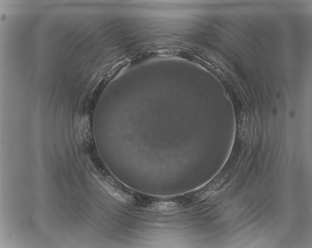 X0000058780748200510031020