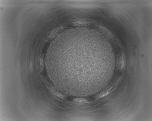 X0000058780749200510031020