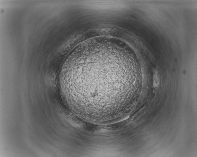 X0000058780750200510031020