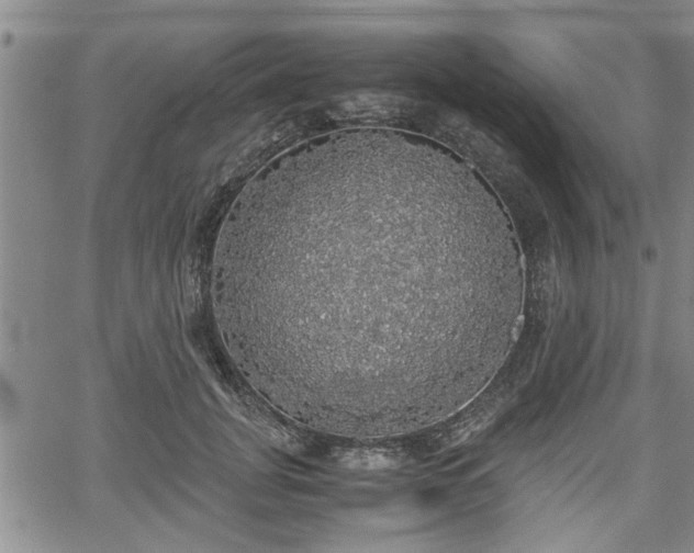 X0000058780751200510031020