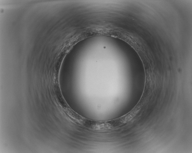 X0000058780752200510031020