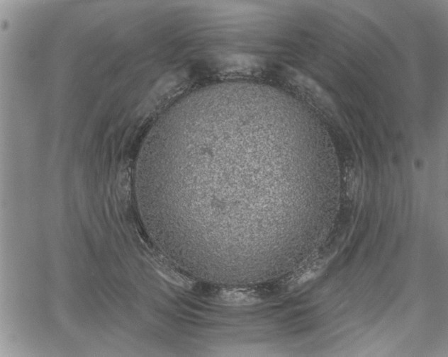 X0000058780753200510031020