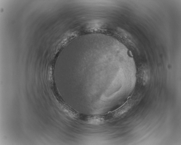 X0000058780754200510031020