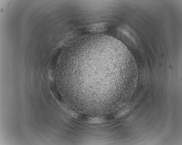 X0000058780755200510031020