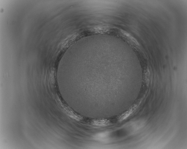 X0000058780757200510031020