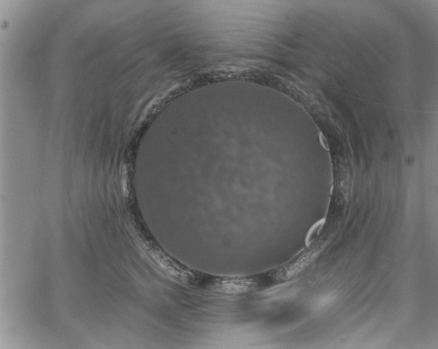 X0000058780758200510031020