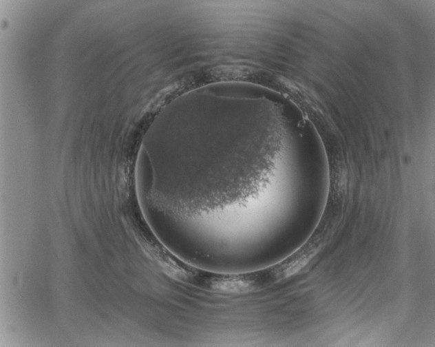 X0000058780759200510031020