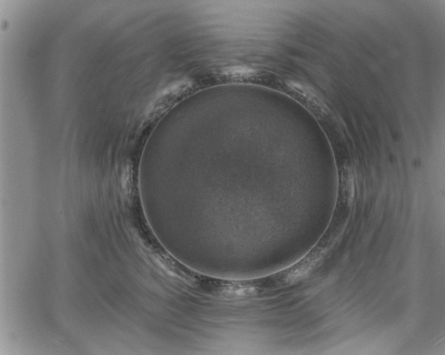 X0000058780760200510031020