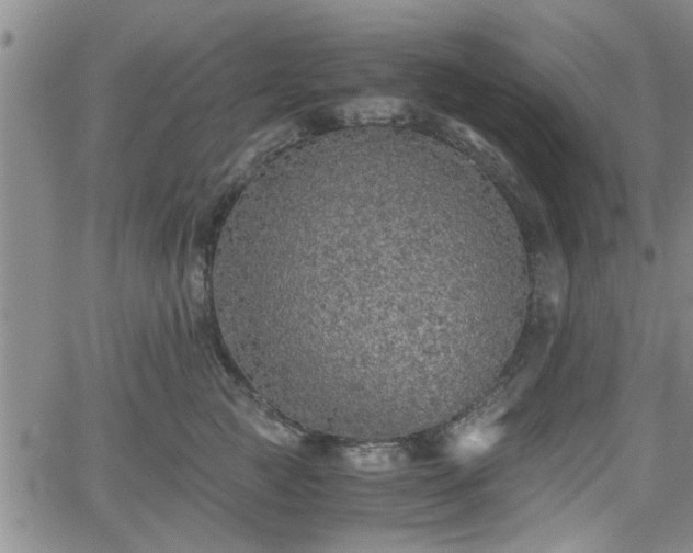 X0000058780761200510031020