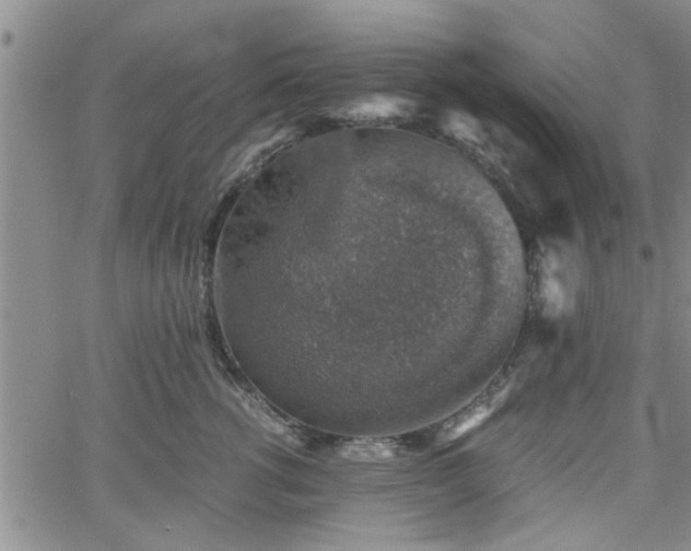 X0000058780762200510031020