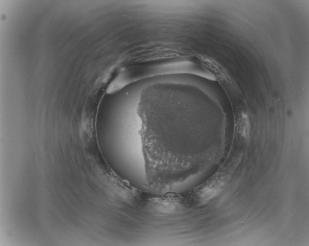 X0000058780763200510031020