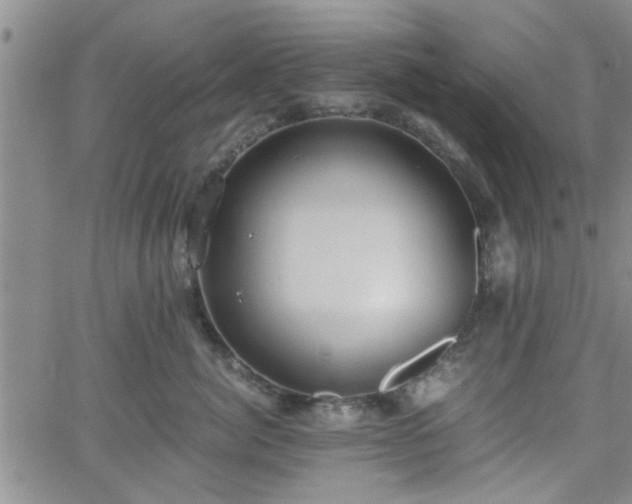 X0000058780764200510031020