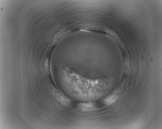 X0000058780765200510031020