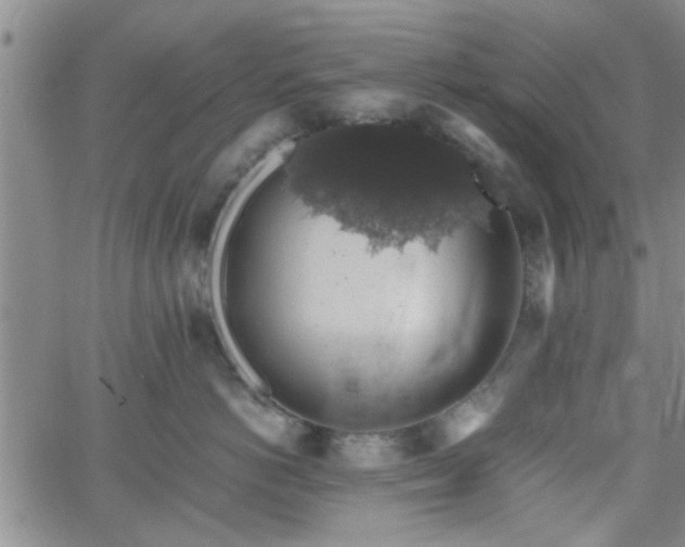 X0000058780766200510031020