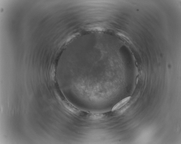 X0000058780767200510031020