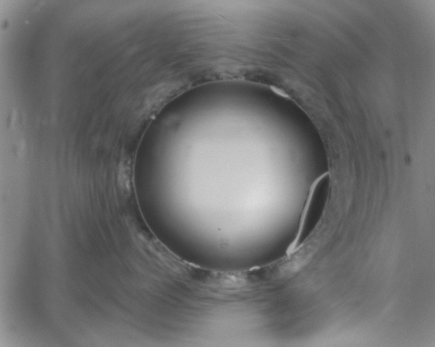 X0000058780768200510031020