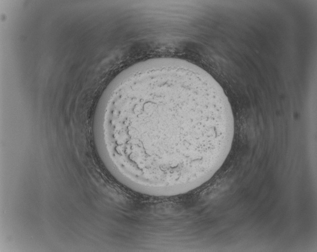 X0000058780769200510031019