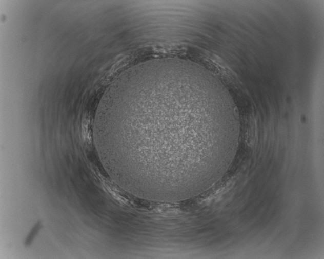 X0000058780770200510031019