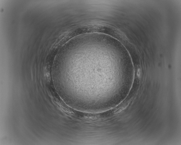 X0000058780771200510031019