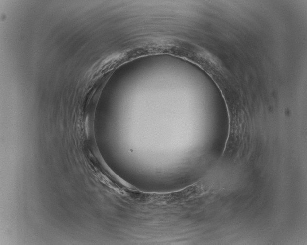 X0000058780773200510031019