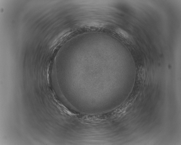 X0000058780774200510031019