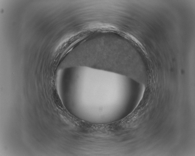 X0000058780775200510031019