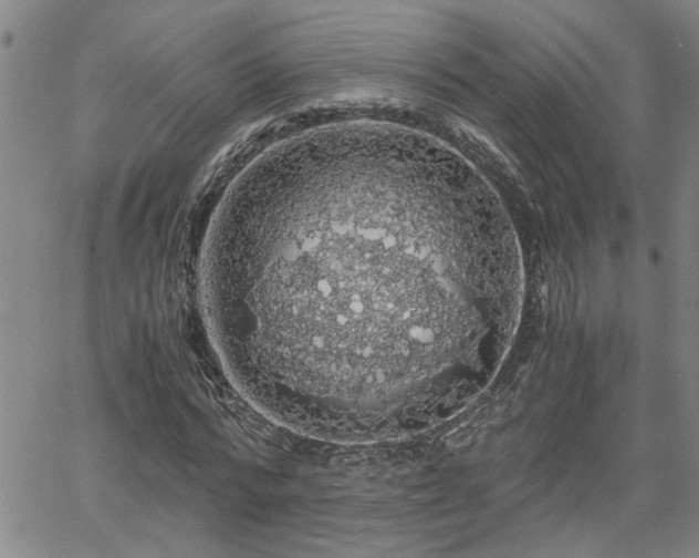 X0000058780776200510031019