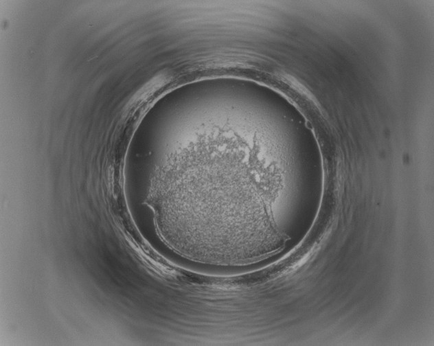 X0000058780777200510031019